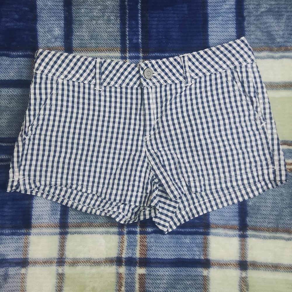 Prince & Fox Blue Checkered Beachcomber Shorts Size 2